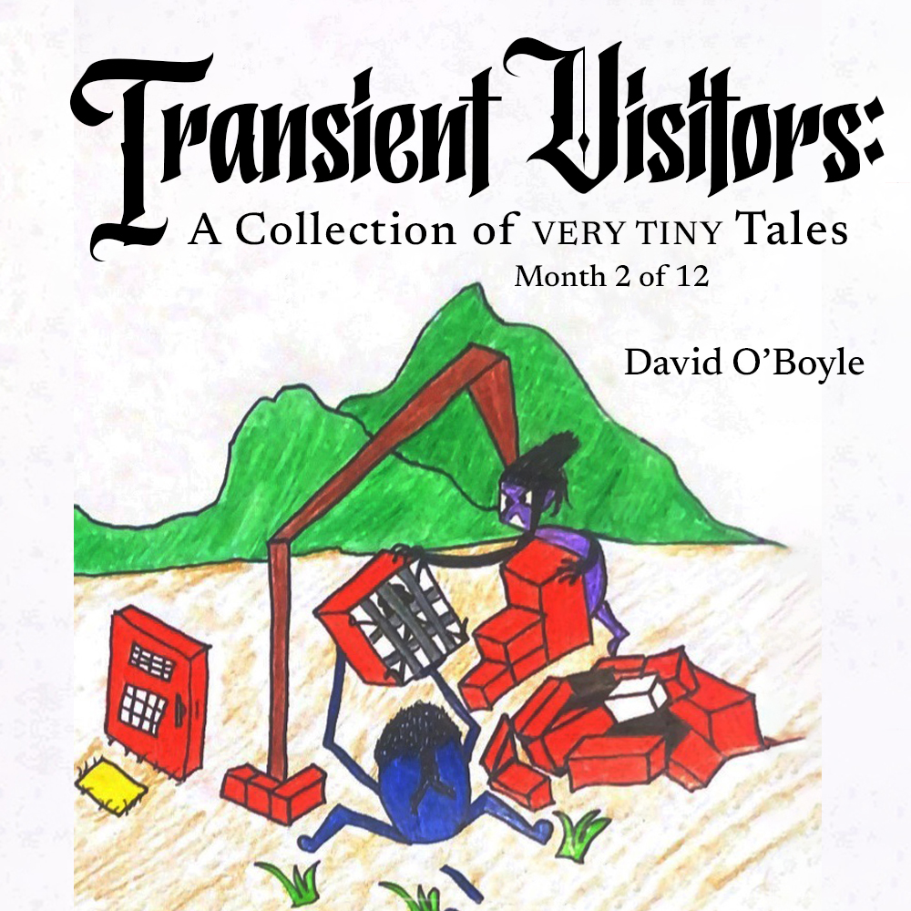 This is the cover image of the second Transient Visitors book. It is month 2 of the Transient Visitors series. 